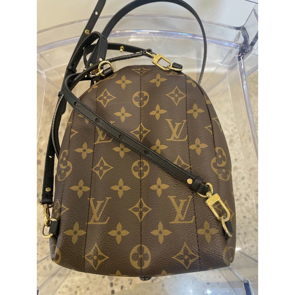 Louis Vuitton Palm Springs Mini Backpack - Monogram Canvas, Excellent Condition - Picture 3 of 6
